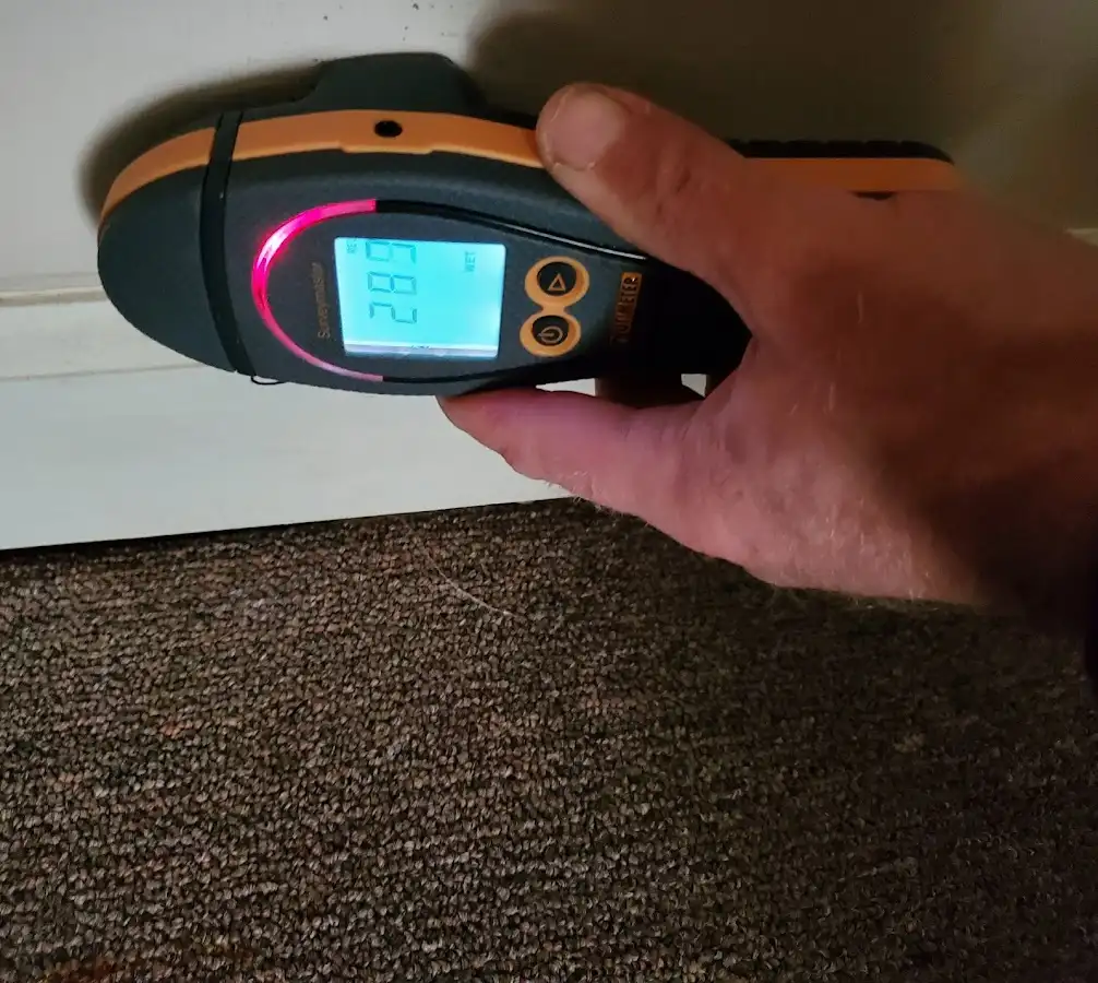 Moisture detection at baseboard during Sewage Cleanup & Sanitation in Lansing